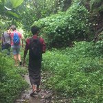 Botanic Gardens  | Photo taken by Rachael W