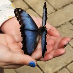 Photo taken by Mark S