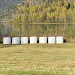 Norwegian marshmallows-  haha | Photo taken by Robin W