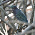 Photo taken by Graeme W