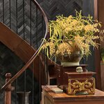 Photo taken by Susan & Bob M