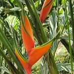 Photo taken by Lisa R