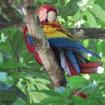 Photo taken by Pat K