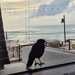 Photo taken by Audrea H