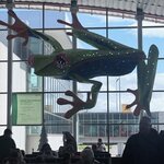 Photo taken by Ashwal P