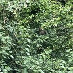 Photo taken by Men-Jean L