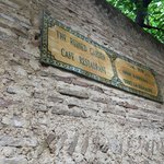 Photo taken by Lisa R