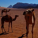 Photo taken by Sarah m