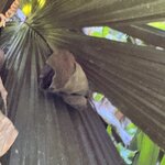 Photo taken by Ben B