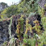 Photo taken by Martha M