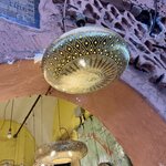 Photo taken by Lesley B