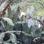 Photo taken by Tenley G