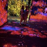 Photo taken by Mallory A