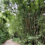 Photo taken by Erin K