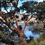 Photo taken by Natascia V