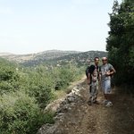 The beginning of a 6 hour 24 km hike in the Ajloun region - olives everywhere!! | Photo taken by fern k