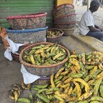 Photo taken by Sophie F