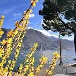 Photo taken by Lisa H