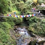 Photo taken by Amanda D