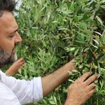 Photo taken by Kris B