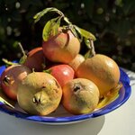 Photo taken by Ann F