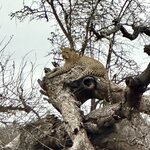 Photo taken by Kolla S