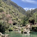 Photo taken by Donna F