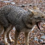 Photo taken by Mariellen S