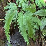 Photo taken by Ben B