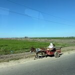 Photo taken by Lisa D