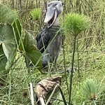 Photo taken by Michael L