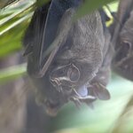 Photo taken by Cathy T