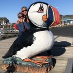 Westman islands  | Photo taken by jay d