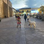 Photo taken by Terje R