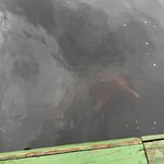 Photo taken by Emily H