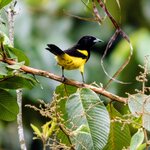 Photo taken by Brett F