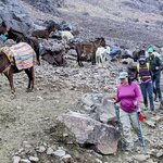 Photo taken by Beth M