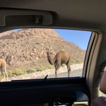 Photo taken by Marion M