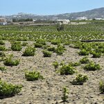 Photo taken by Candi S