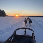 Photo taken by Alison D