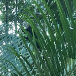 Photo taken by Kate R