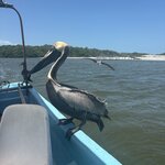 Photo taken by Martina D