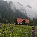 Photo taken by Shree L