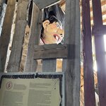 Photo taken by Nan K