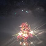 Photo taken by hazel S