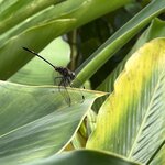 Photo taken by Victoria C