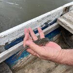 Photo taken by Diana L