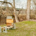 Photo taken by E.J. B