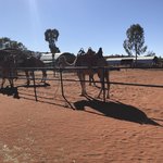 Photo taken by Alfredo H