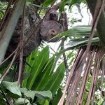 Photo taken by Karen P